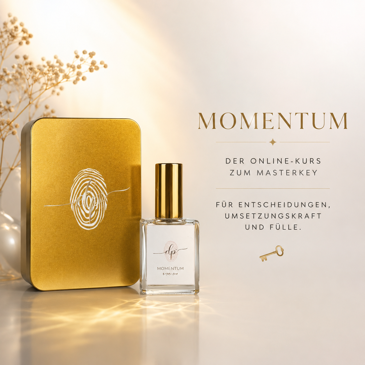 Momentum - Der Masterkey für Umsetzung, Wachstum und innere Entschlossenheit